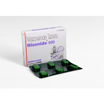 니조나이드(nizonide) 500mg