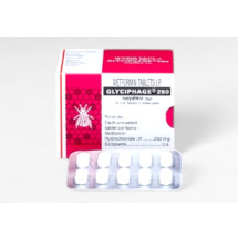 메트포르민 글리시파지 250mg