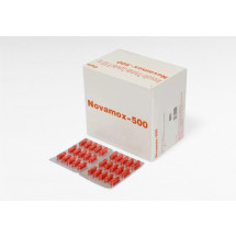 노바목스-500mg